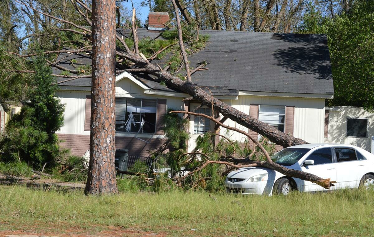 Fallen tree on a residential roof in Lake County that needs emergency roof repair service