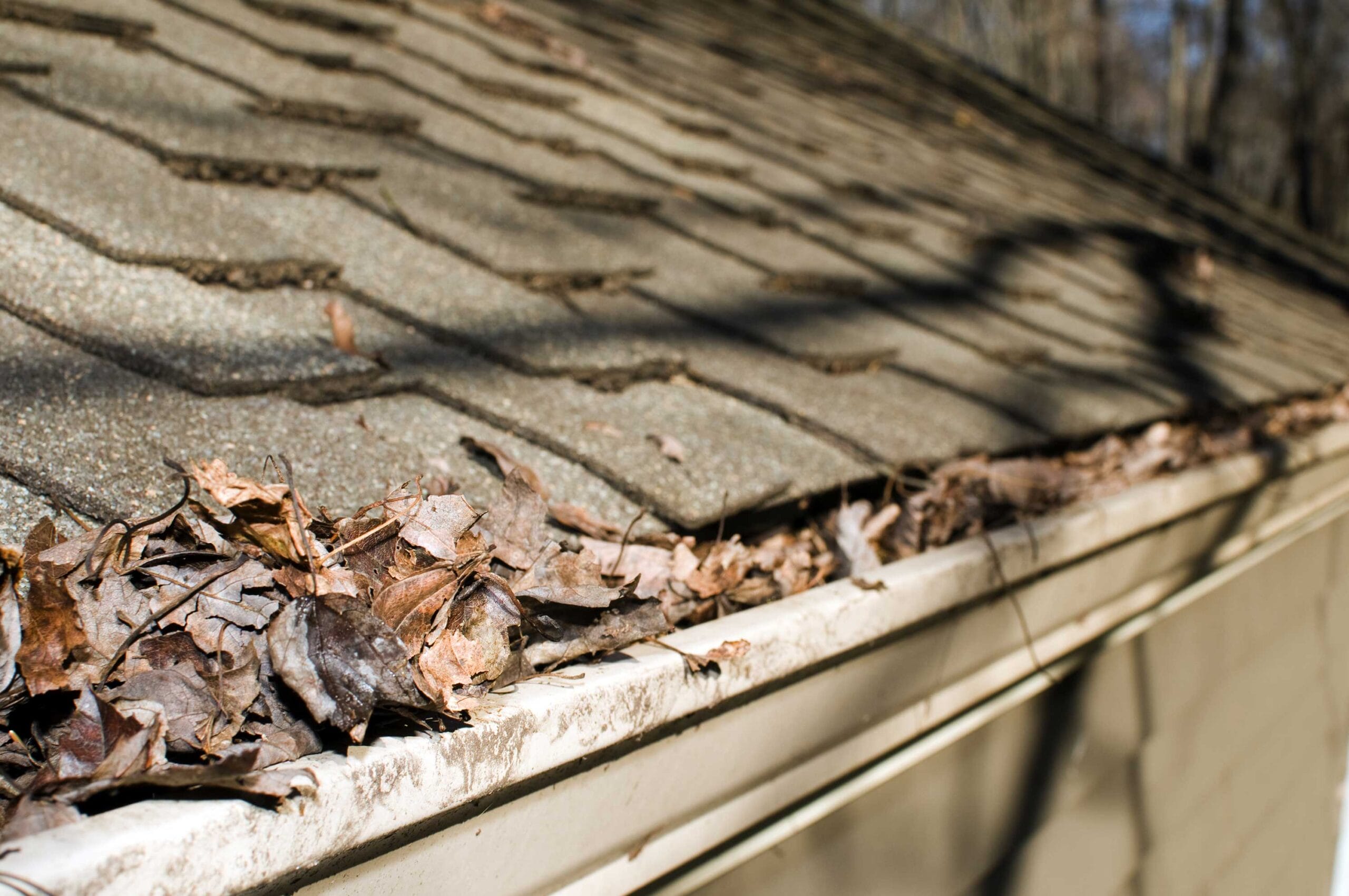 spring roof problems, spring roof maintenance, spring weather damage