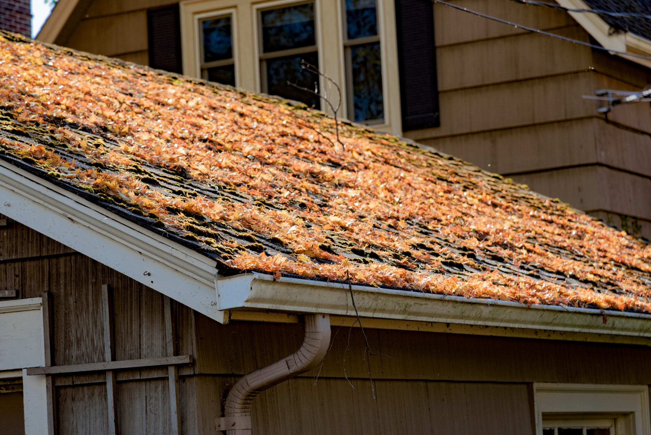spring roof problems, spring roof maintenance, spring weather damage, Buffalo Grove