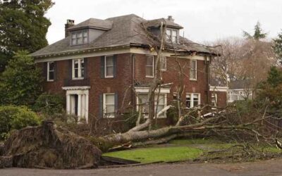 Guide to Storm Damage Insurance Rights in Illinois