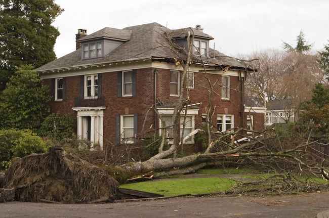 Guide to Storm Damage Insurance Rights in Illinois