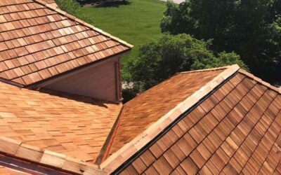 Why Choose Cedar Roofs as a Green Choice? Are Cedar Roofs Sustainable?